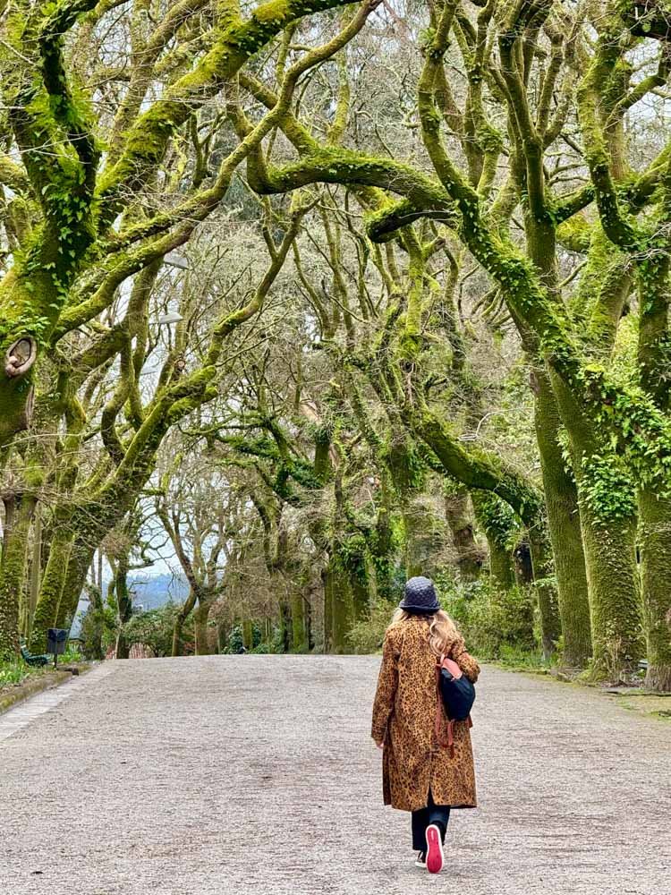 Guía Completa de Galicia