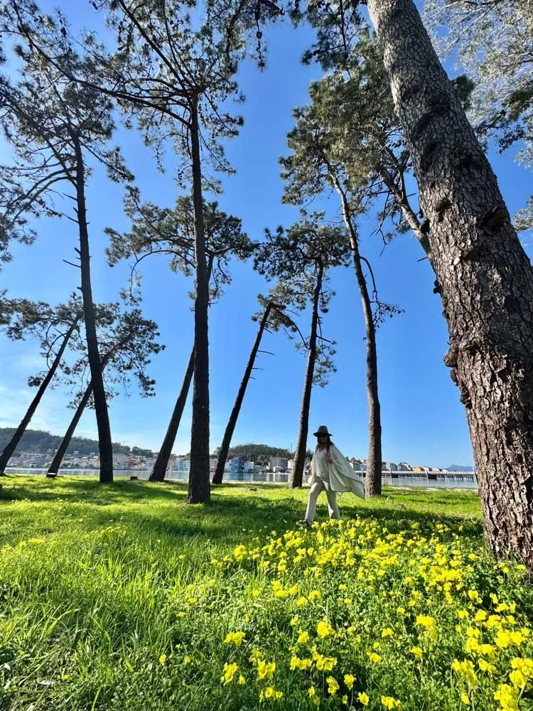 Alma de Viaje - Galicia - Ria de Arousa-57.jpg