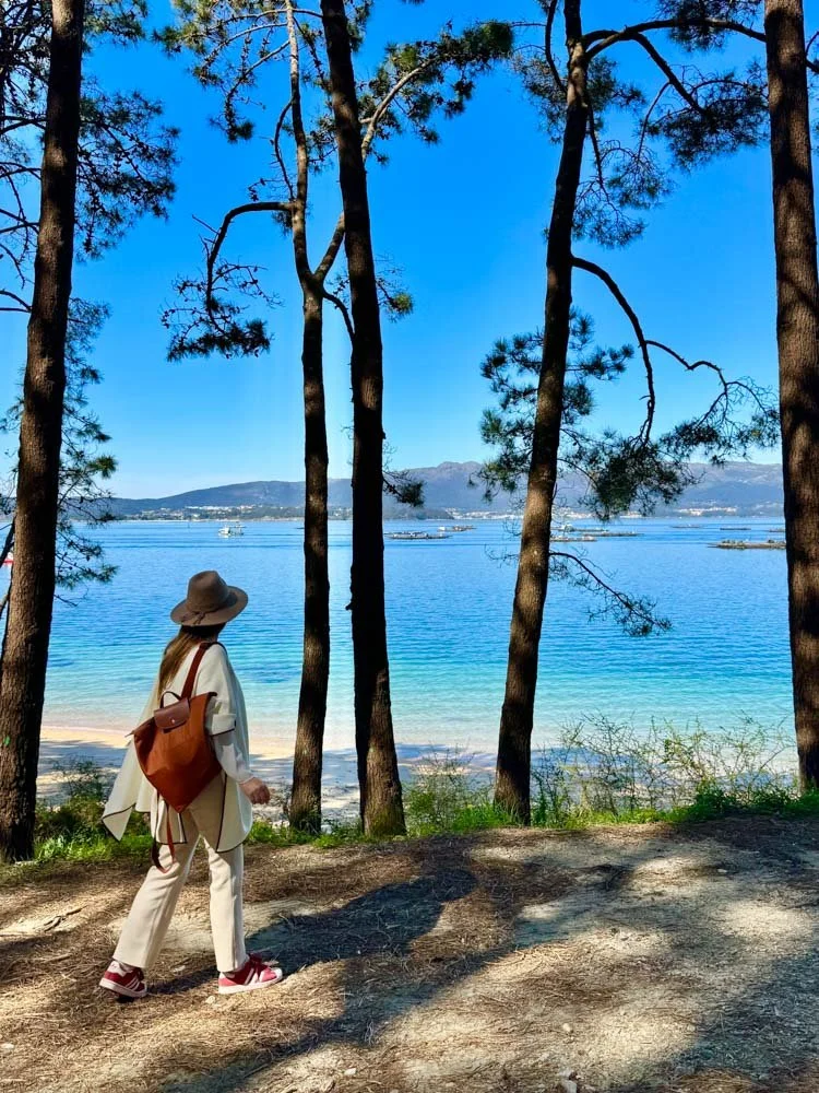 Guía de Galicia - Las Rias Baixas