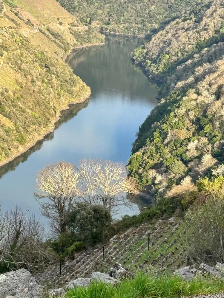 Alma de Viaje - Galicia - Ribera Sacra-89.jpg