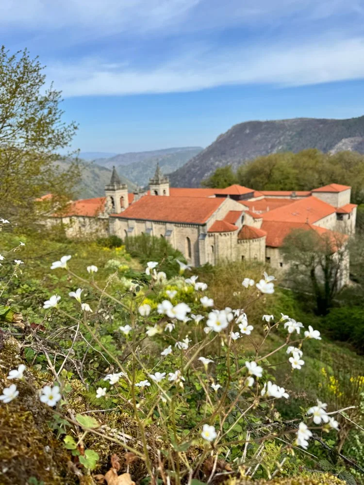 Alma de Viaje - Galicia - Ribera Sacra-15.jpg