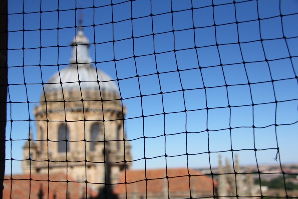 Alma de Viaje - España - Castilla y Leon - Salamanca-38.jpg