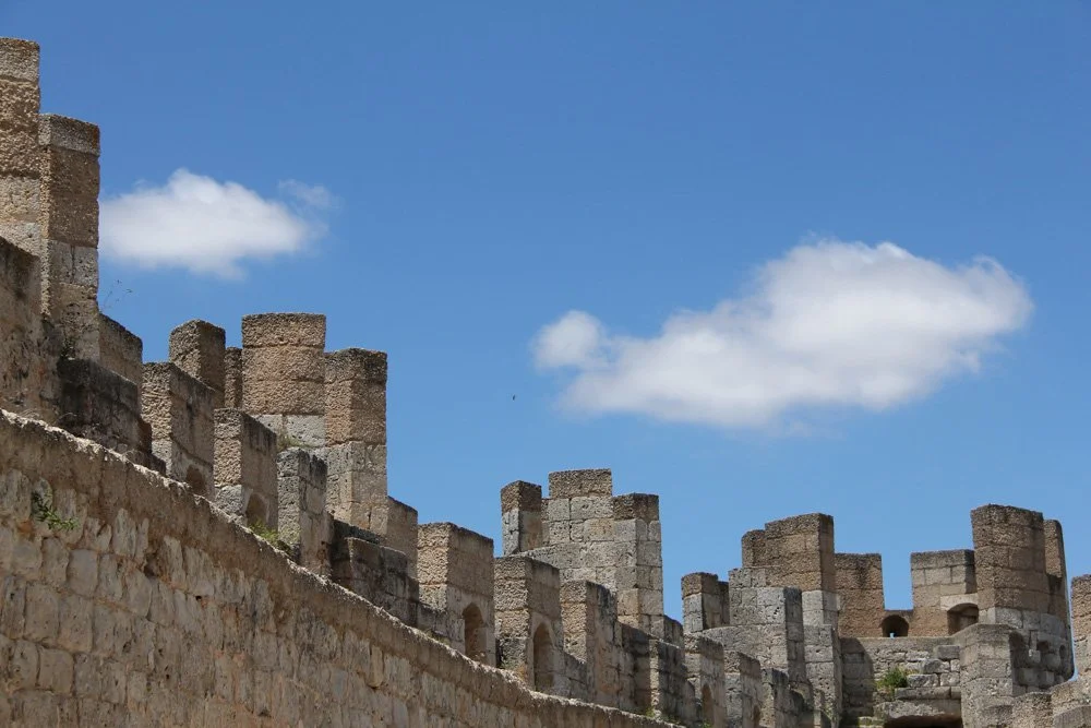 Alma de Viaje - España - Castilla y Leon - Ribera del Duero3-37.jpg