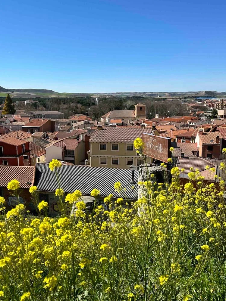 Alma de Viaje - Espana - Ribera Duero-73.jpg