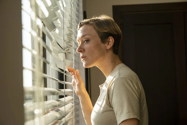 We Are Who We Are - Chloe Sevigny.jpg