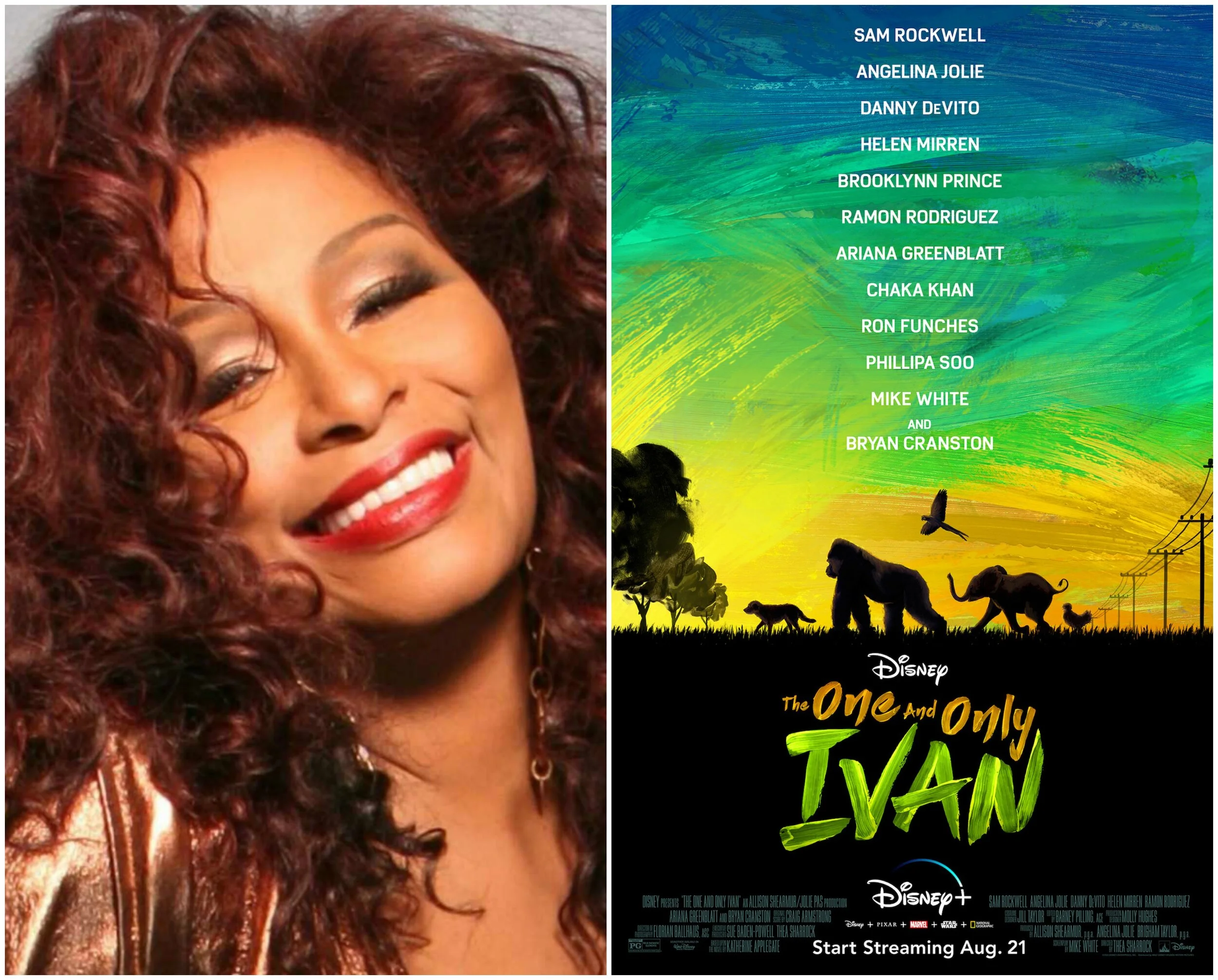 Exclusive: Chaka Khan Talks Voicing A Character In Disney+ ‘The One And Only Ivan’