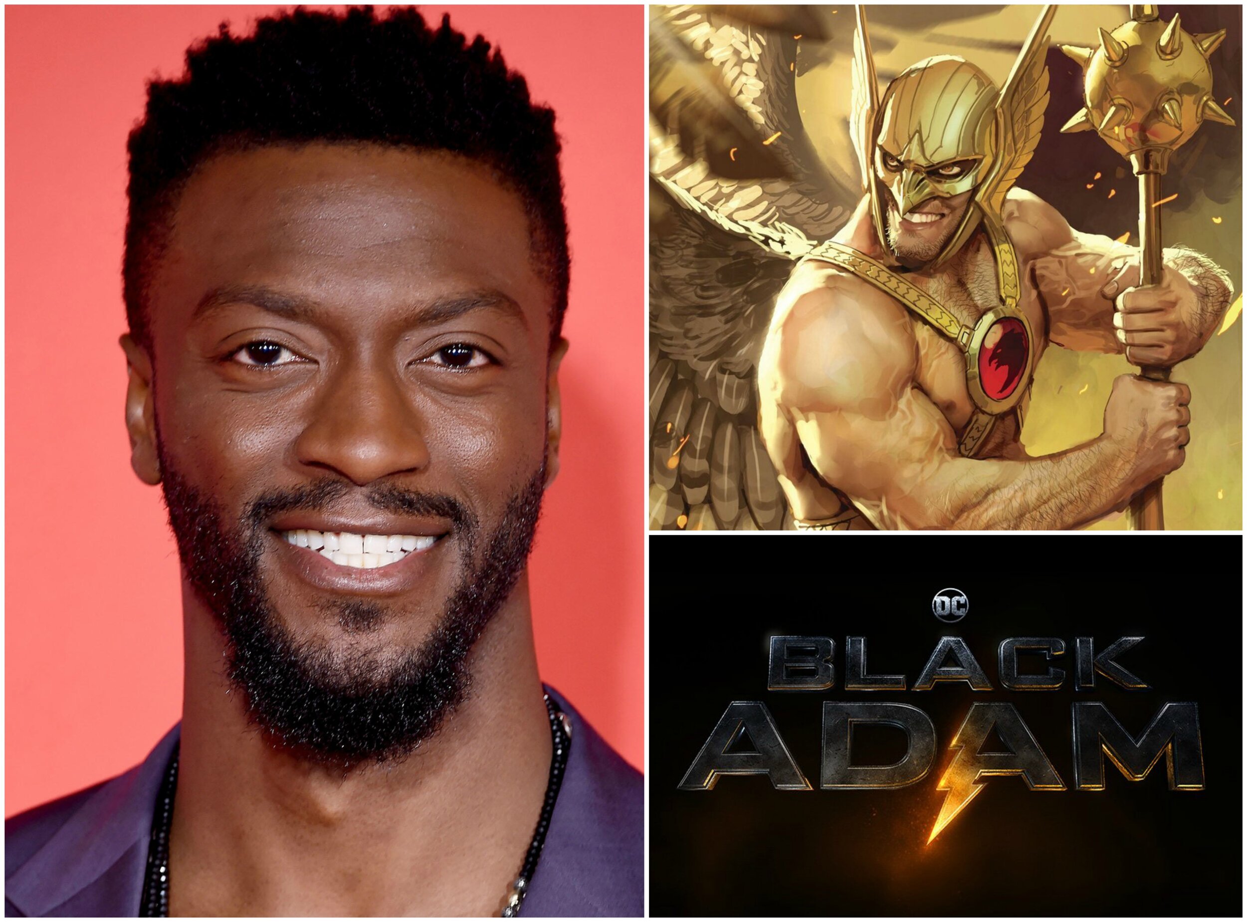 Black Adam: Aldis Hodge Cast As Hawkman For DC Film