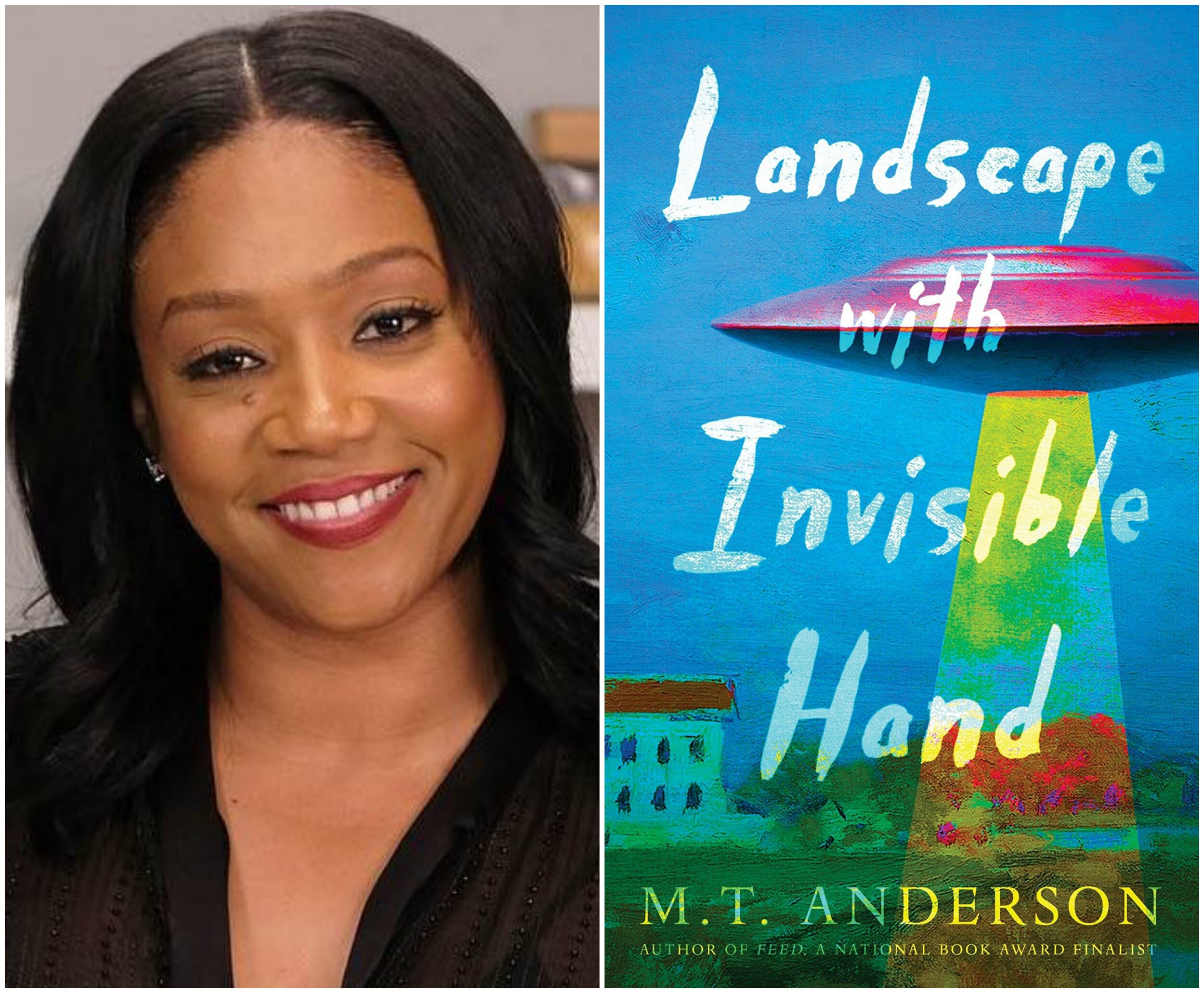 Haddish To Star In Adaptation, Landscape With Invisible Hand
