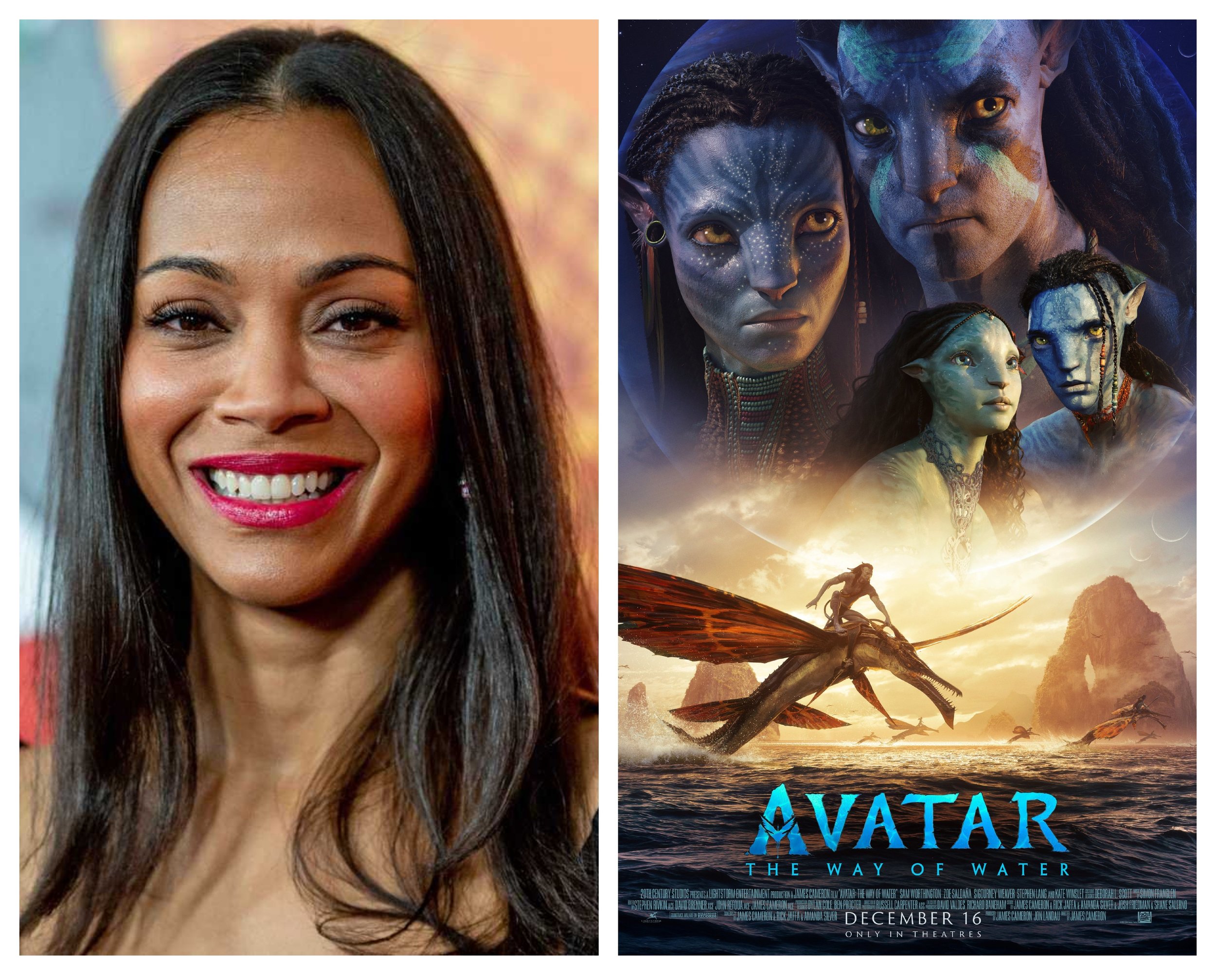 Zoe Saldana attends the new Avatar premiere and more star snaps  Page Six
