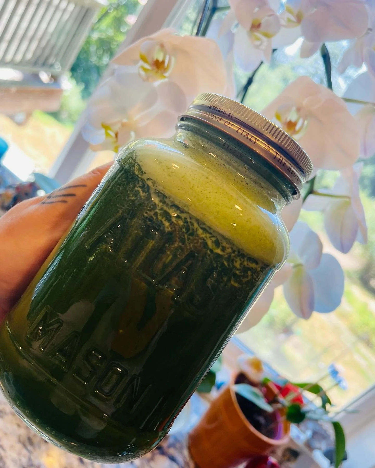 Green goodness in a jar 🥬💚🥒

#greenjuice #greenjuices #greengoodness #powergreens #veggiegarden #veggiegardening #veggiegardens #growyourownfood #growveg #drinkgreen #drinkgreenjuice #liquidgold #liquidgreengoodness #healthyfood #foryourhealth #bo