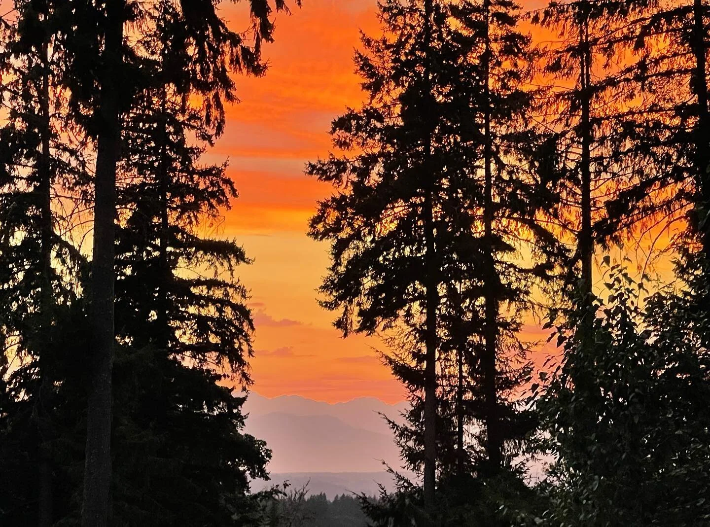 Swoon worthy sky tonight!