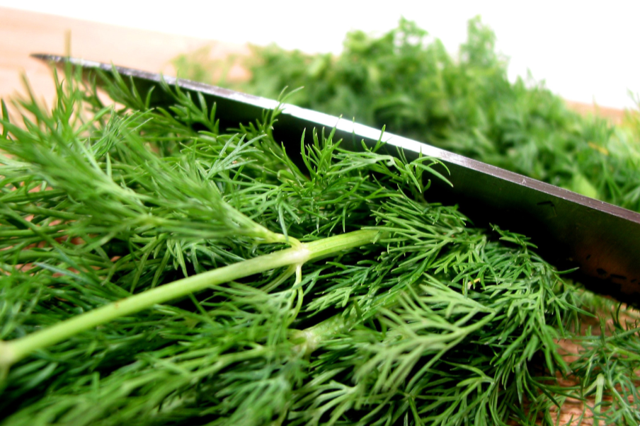 chopping fresh dill with knife on wooden cutting board