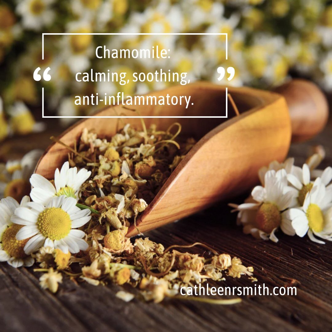 The word Chamomile is Greek and loosely translates into &ldquo;ground apple&rdquo;, which makes sense because German Chamomile smells a little like sweet apples. 😃😃😃That's why Chamomile tea tastes so good. And get this - You can add dried Chamomil