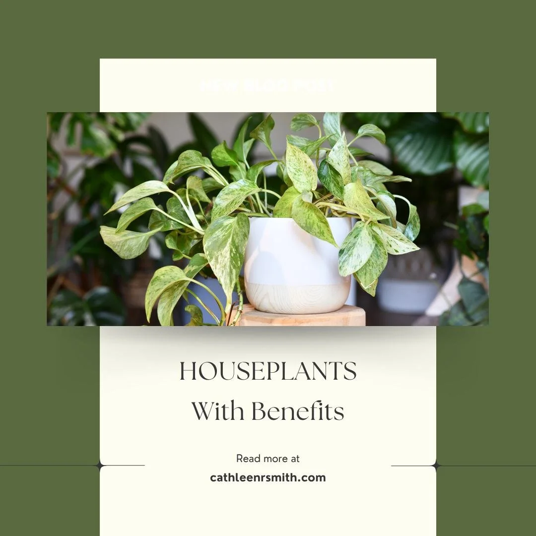Let&rsquo;s face it&mdash;houseplants have become the unofficial therapists of the home. They listen without judgment, never interrupt and ask for nothing but the occasional watering and maybe some small talk. But these leafy friends offer more than 
