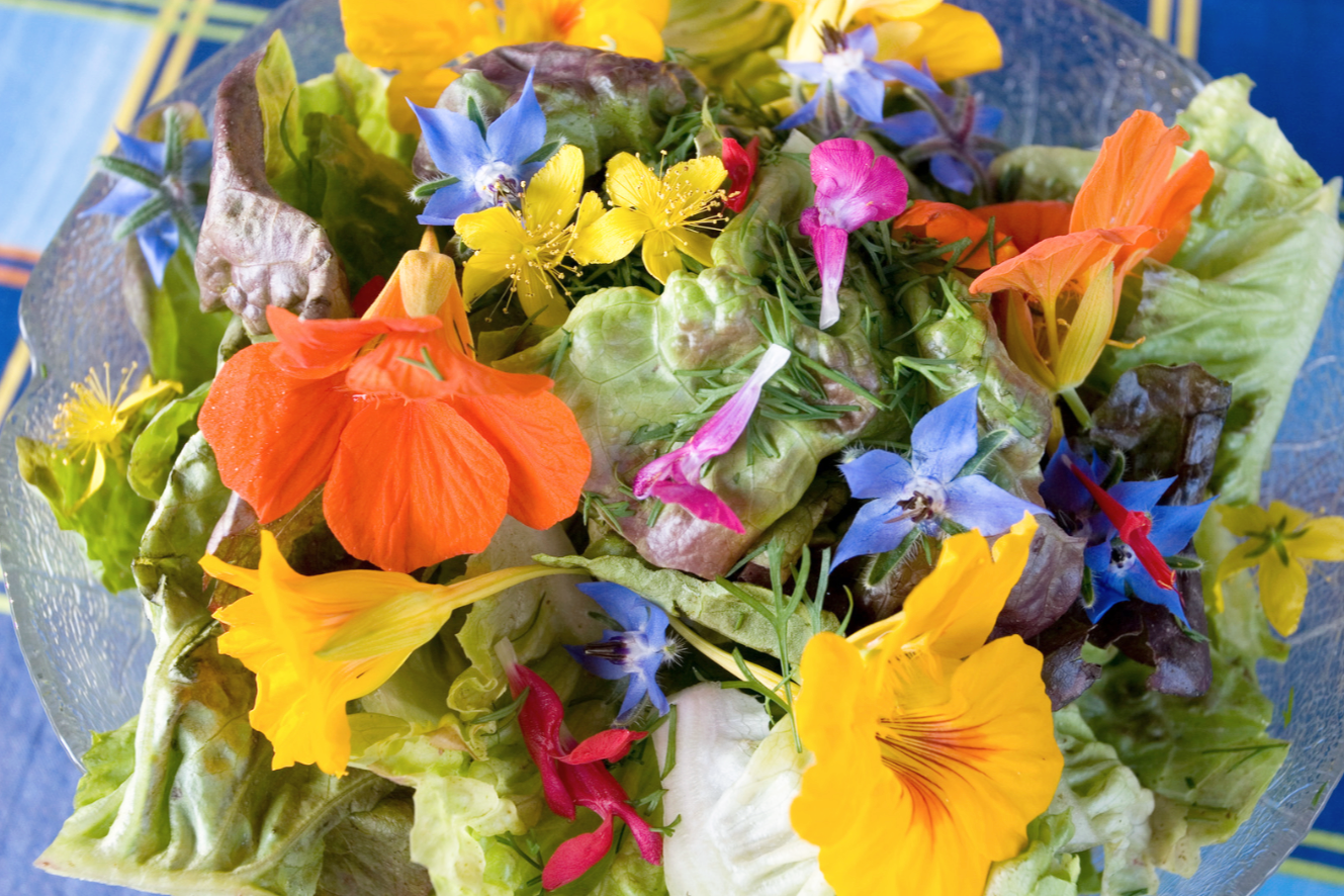 nasturtiums and borage in salad