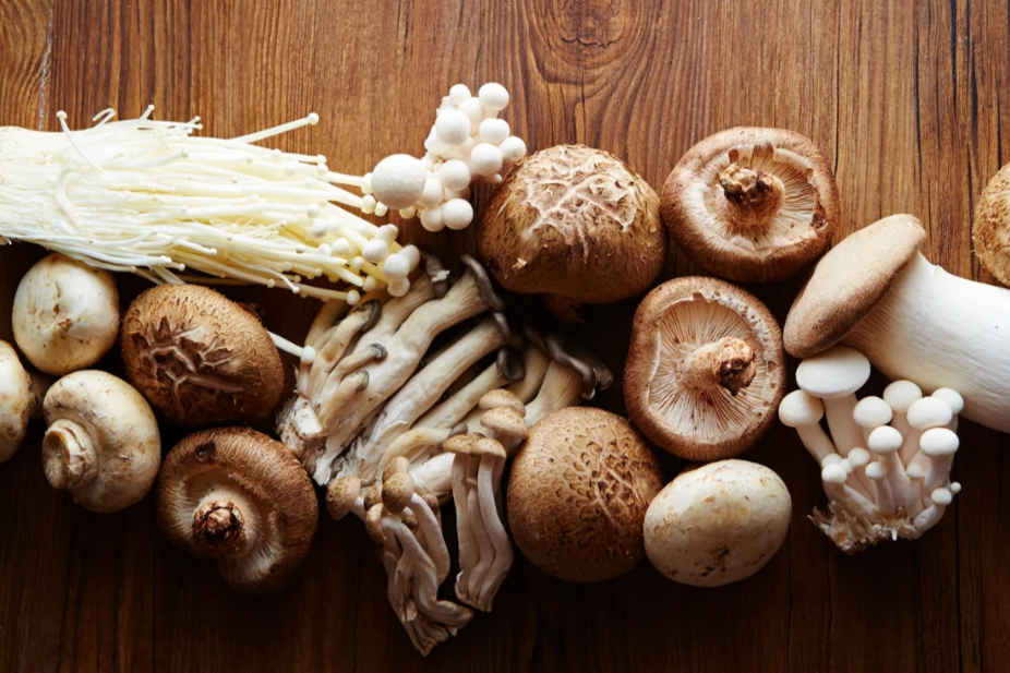 various medicinal mushrooms lying on wooden table