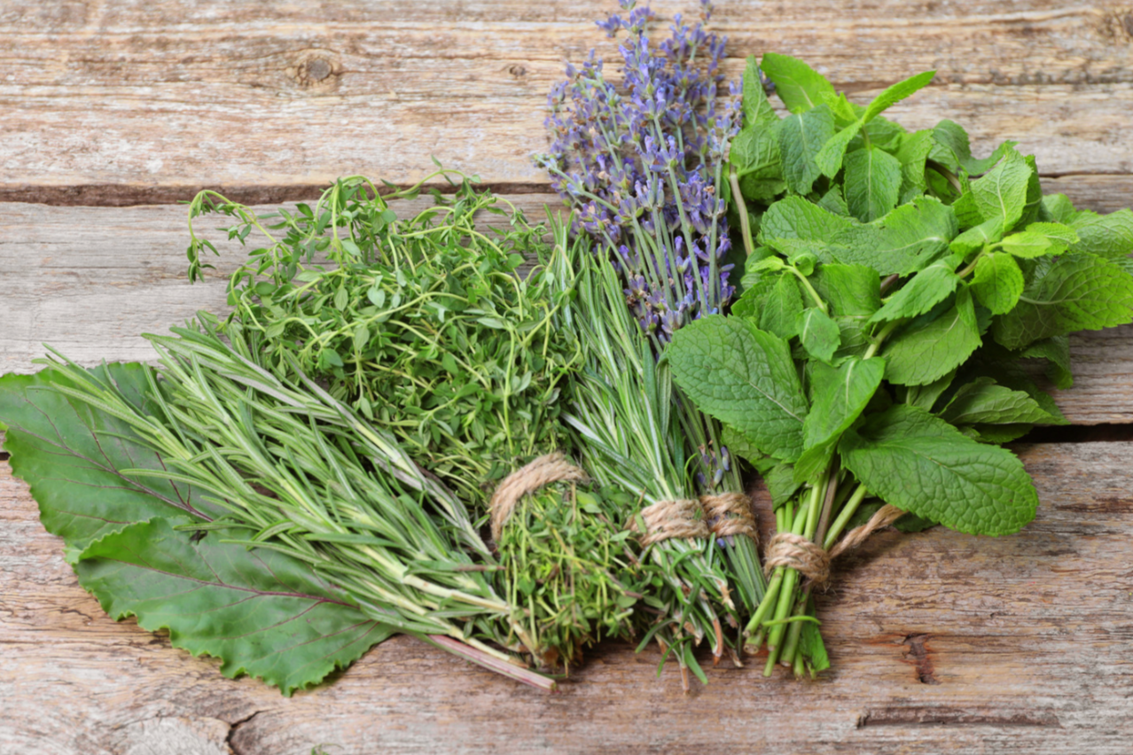fresh herbs tied with string on wooden table