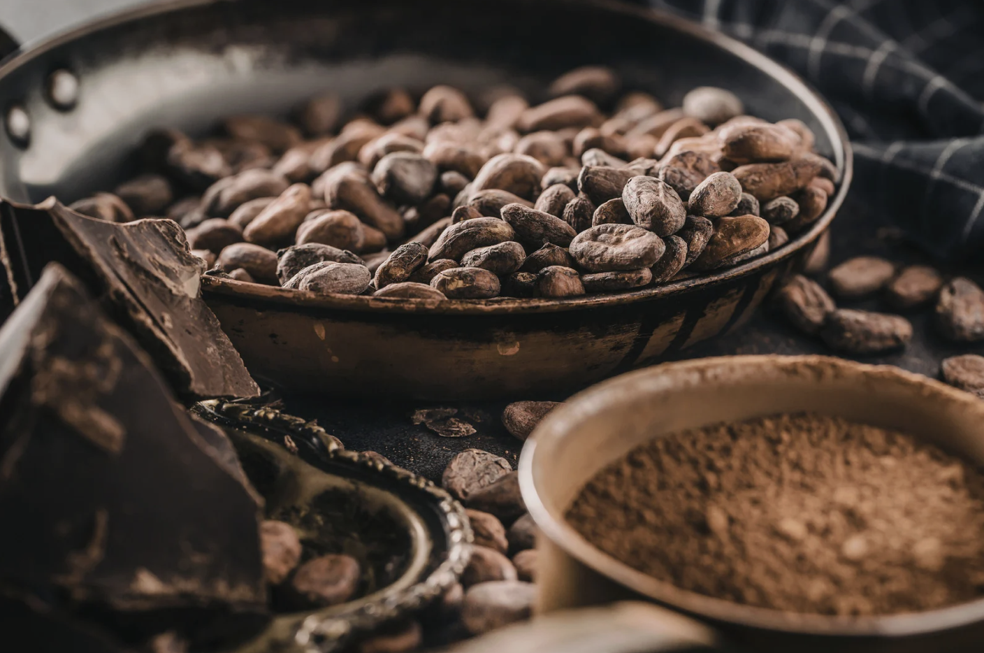 cacao beans, cacao powder and whole dark chocolate in wooden bowls