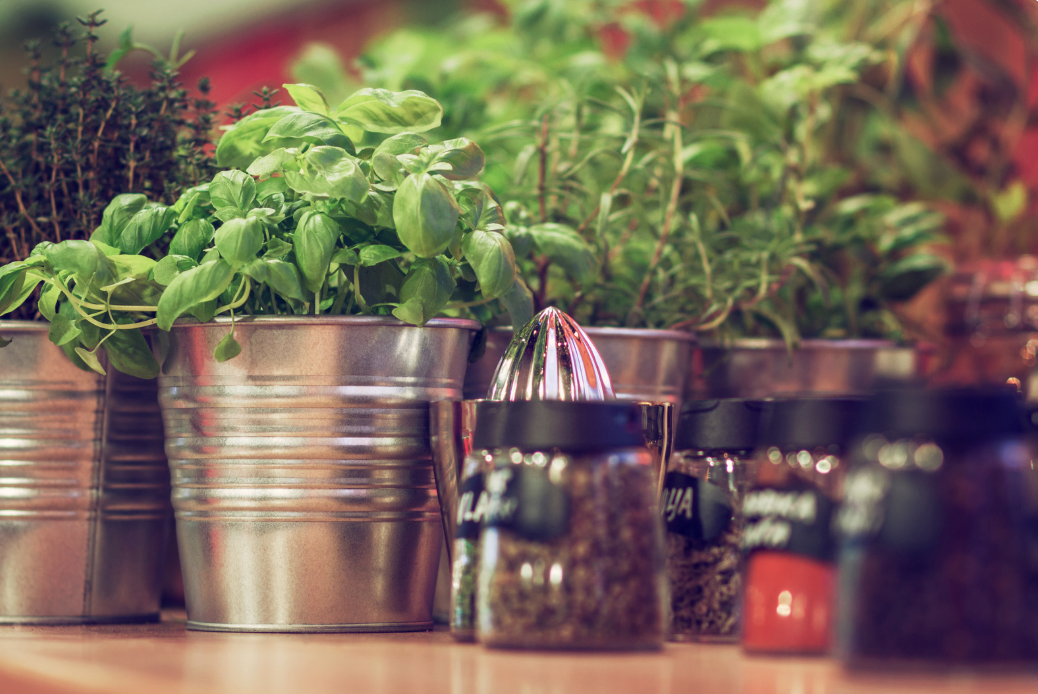 grouping of herb plants in metal buckets on kitchen counter