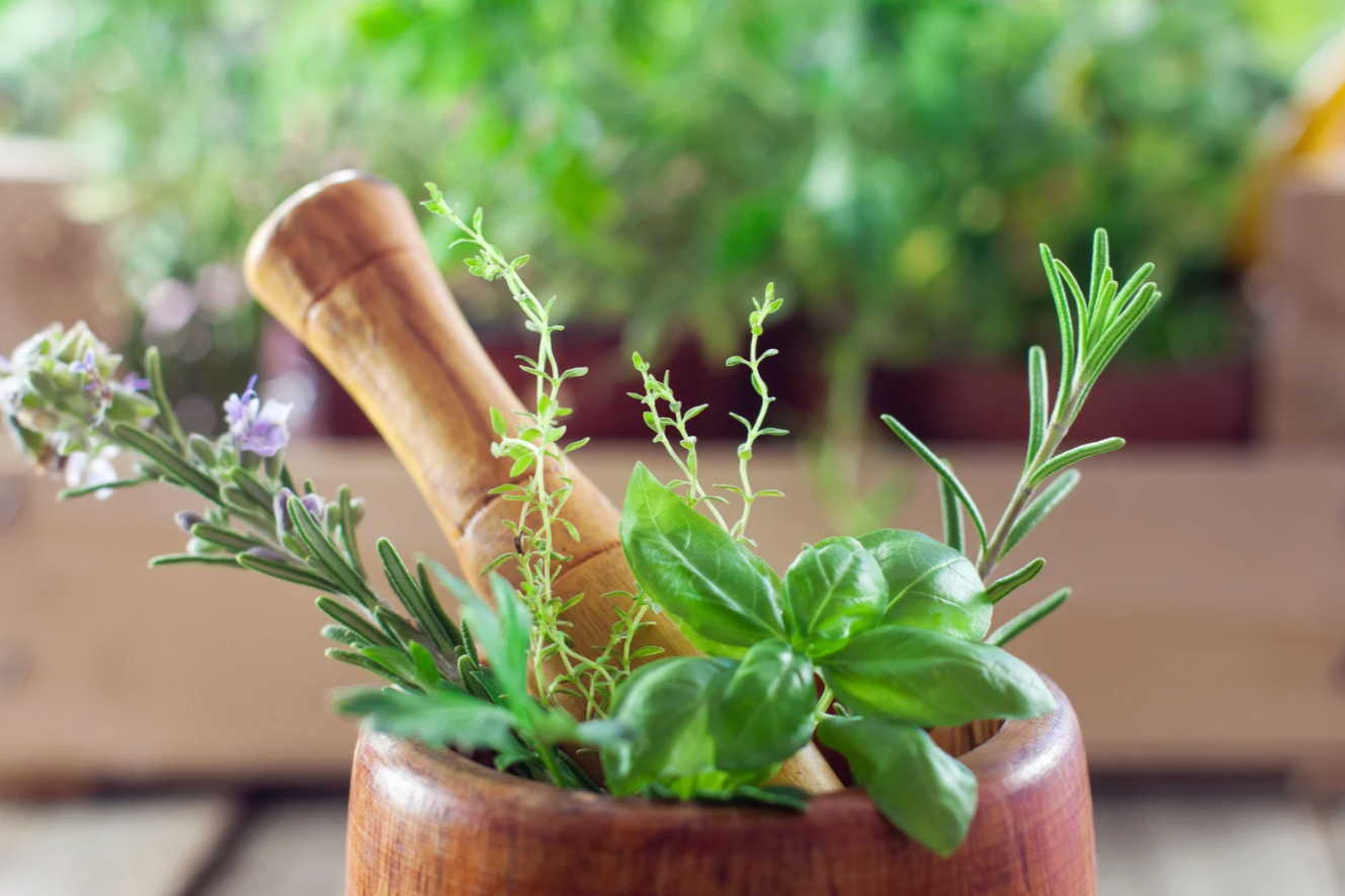 fresh herbs with mortar and pestle
