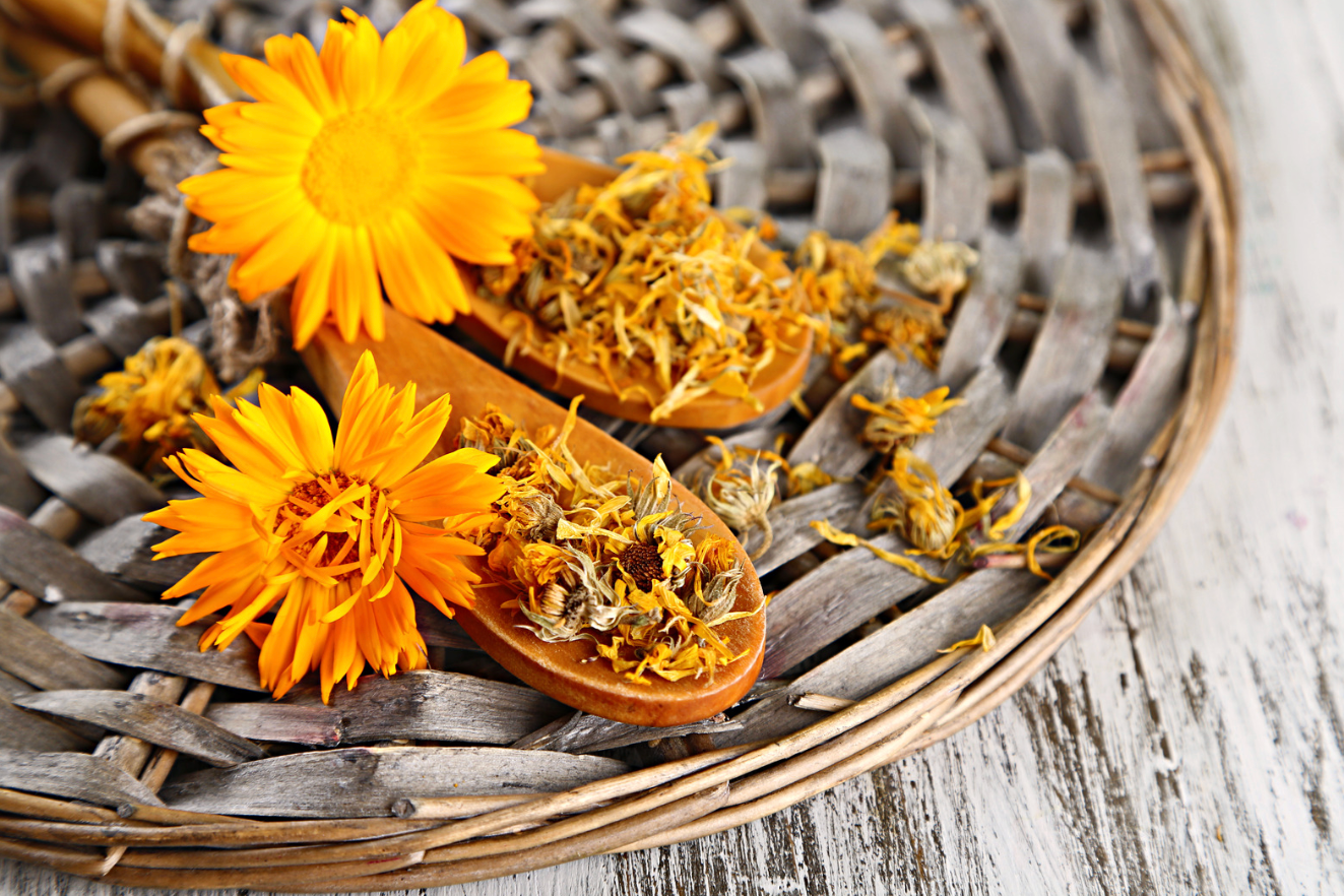 calendula blossoms and dried calendula in basket