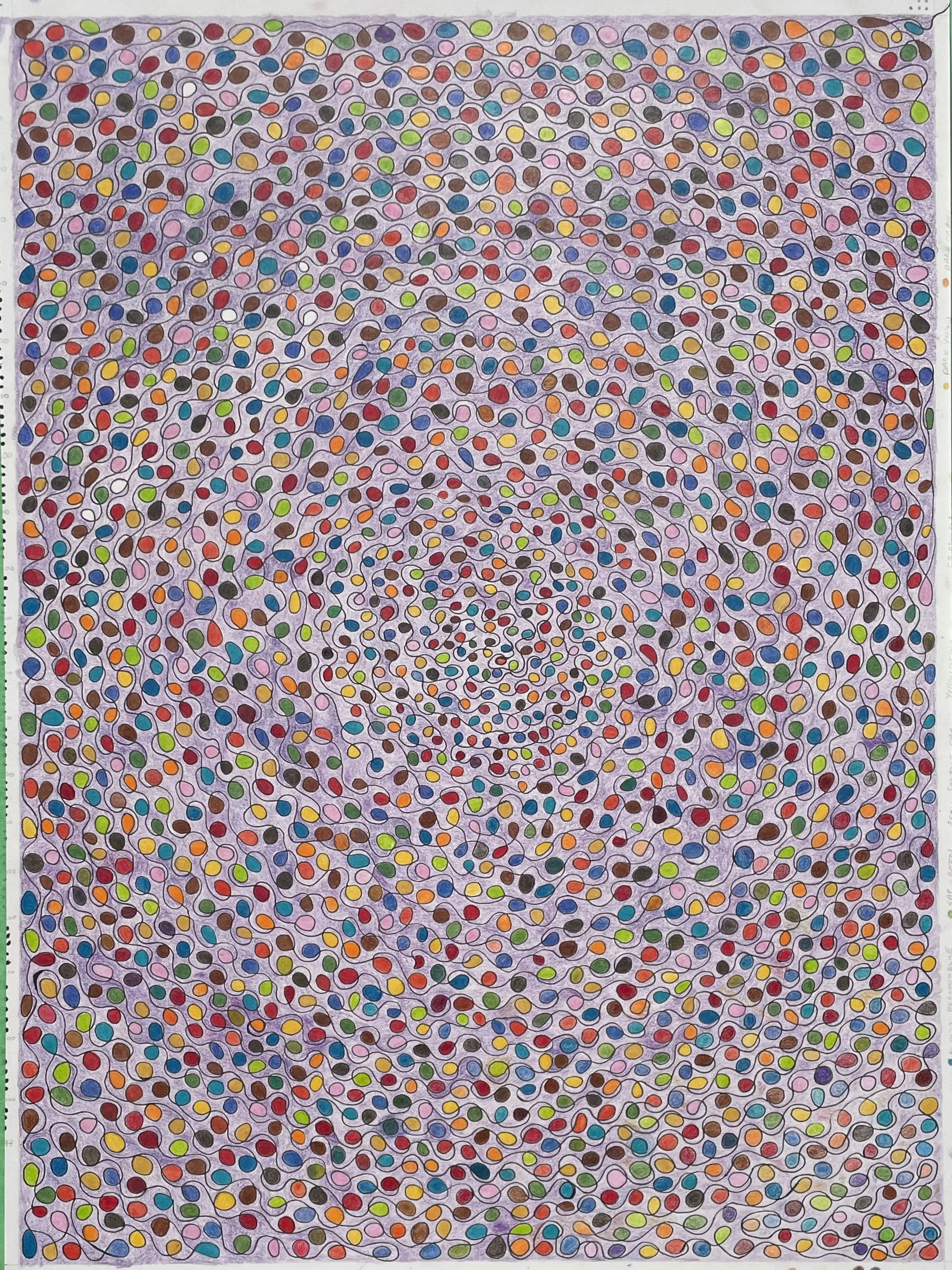 Purple #21 
18" X 24" Pencil on Paper