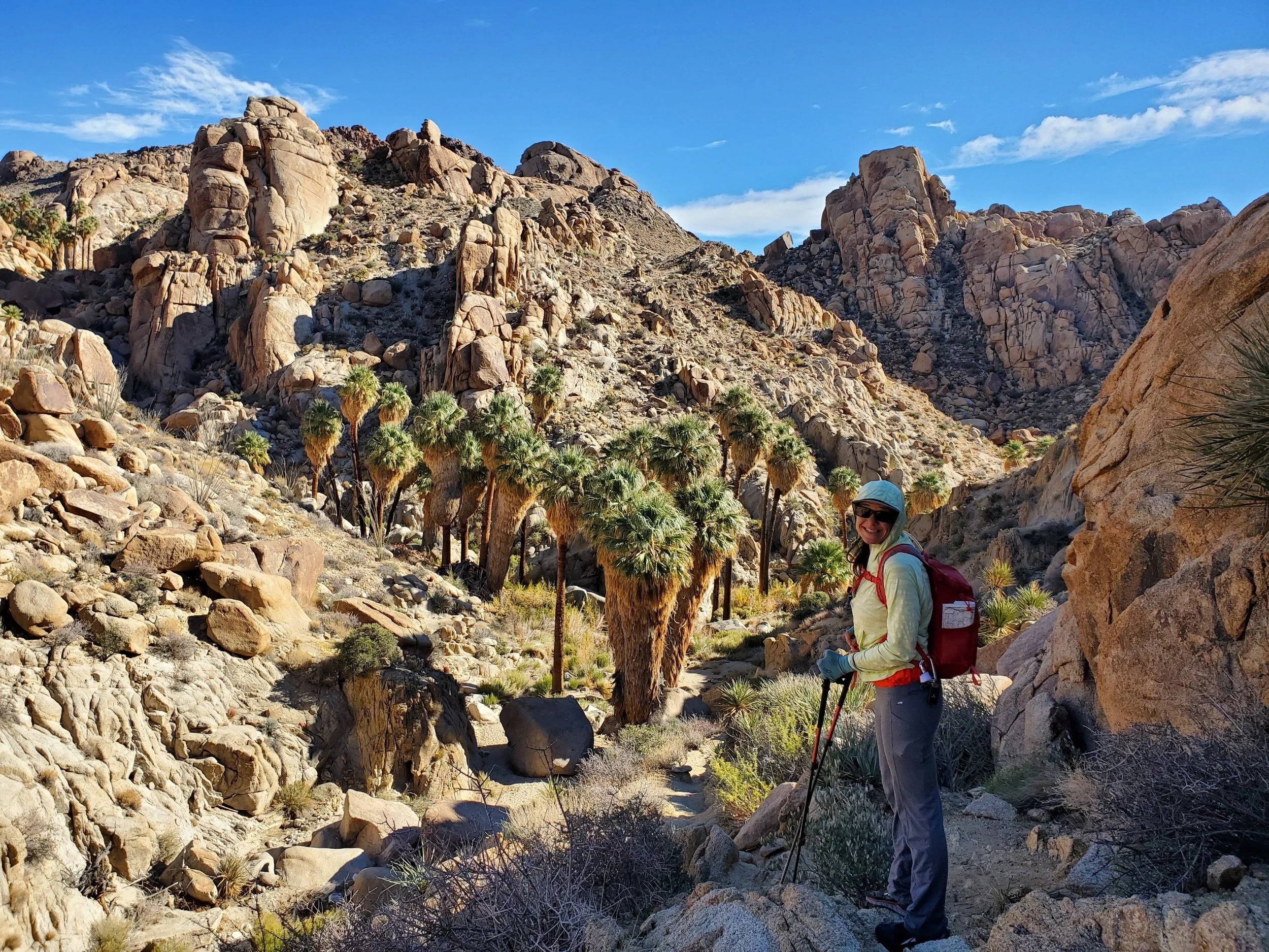 backpack Joshua tree