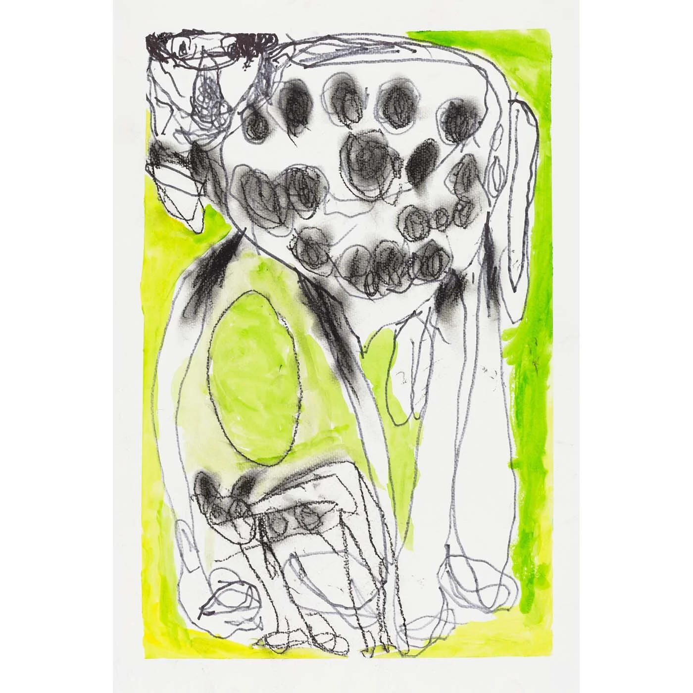 2 Cows, 2015