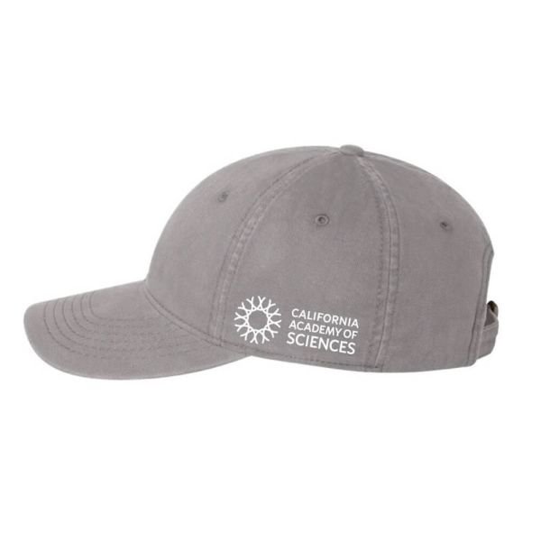 california-academy-of-sciences-yukari-sakura-dinosaur-cap (2).jpeg