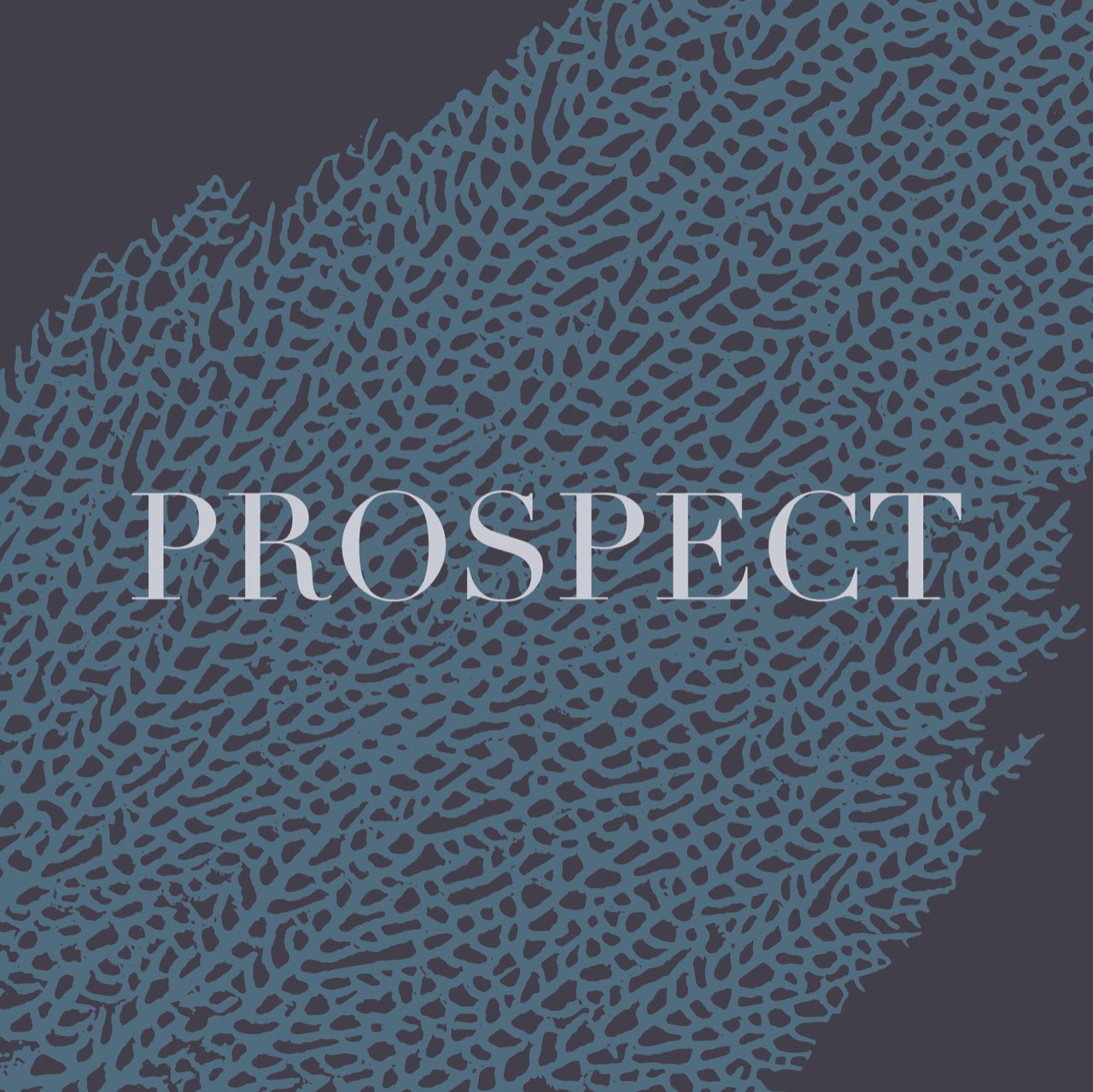 Prospect-Social-2-05.jpg