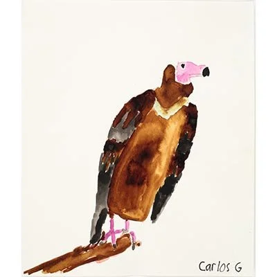 Untitled (Vulture) by Carlos Guillen