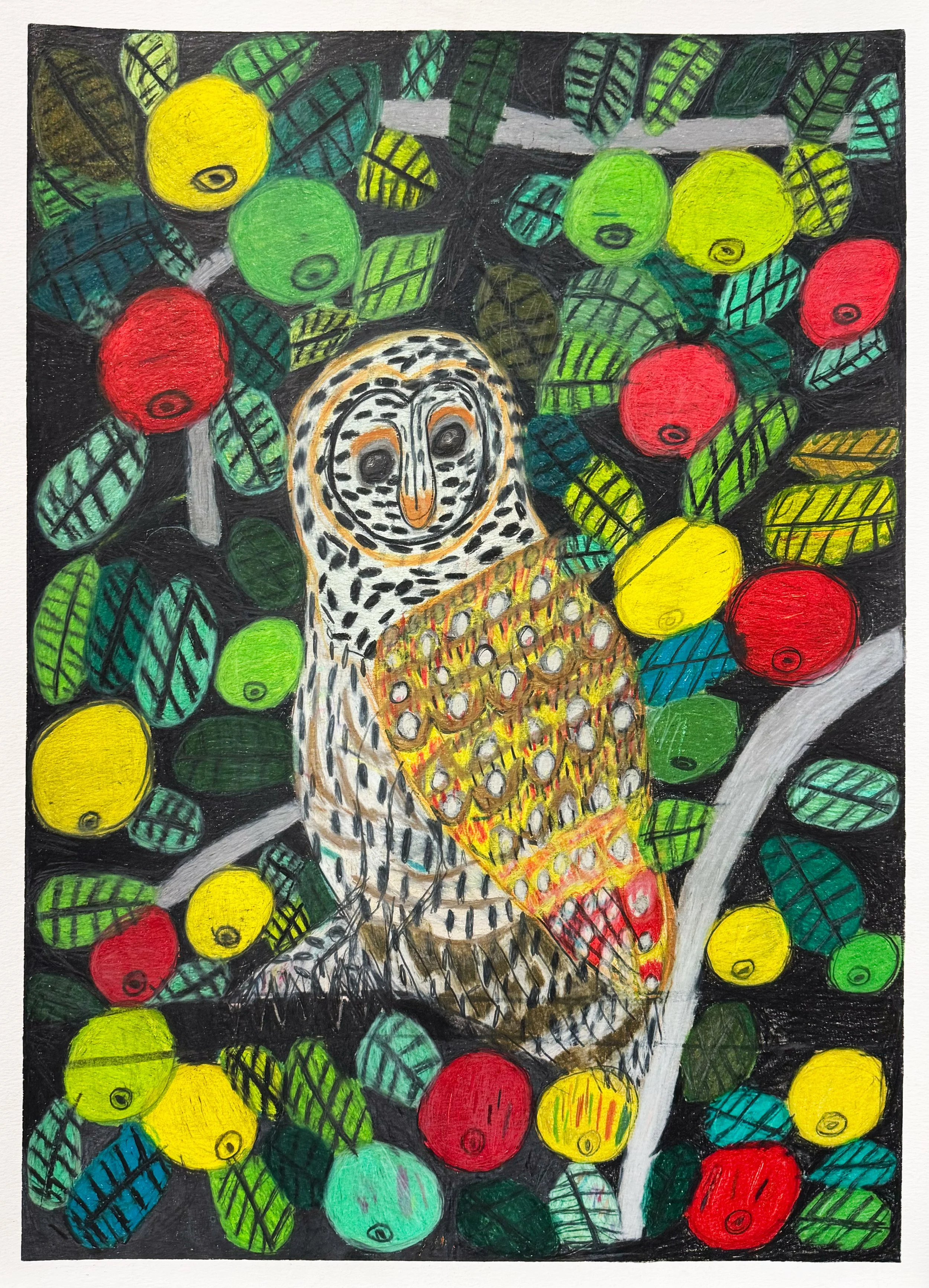 Owl in Apple Tree by Irene Rivas