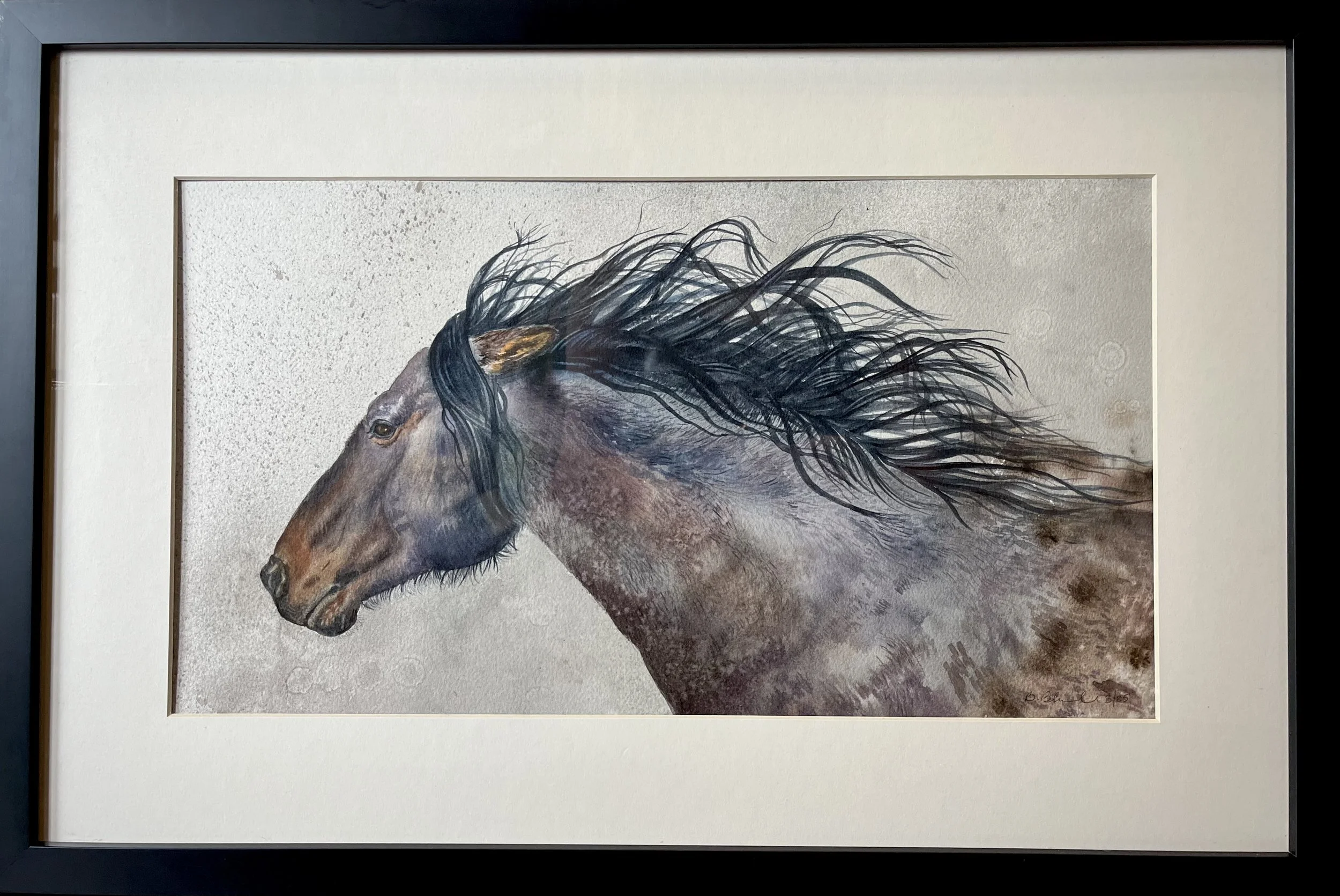 Onaqui Spirit by Brett Blumenthal