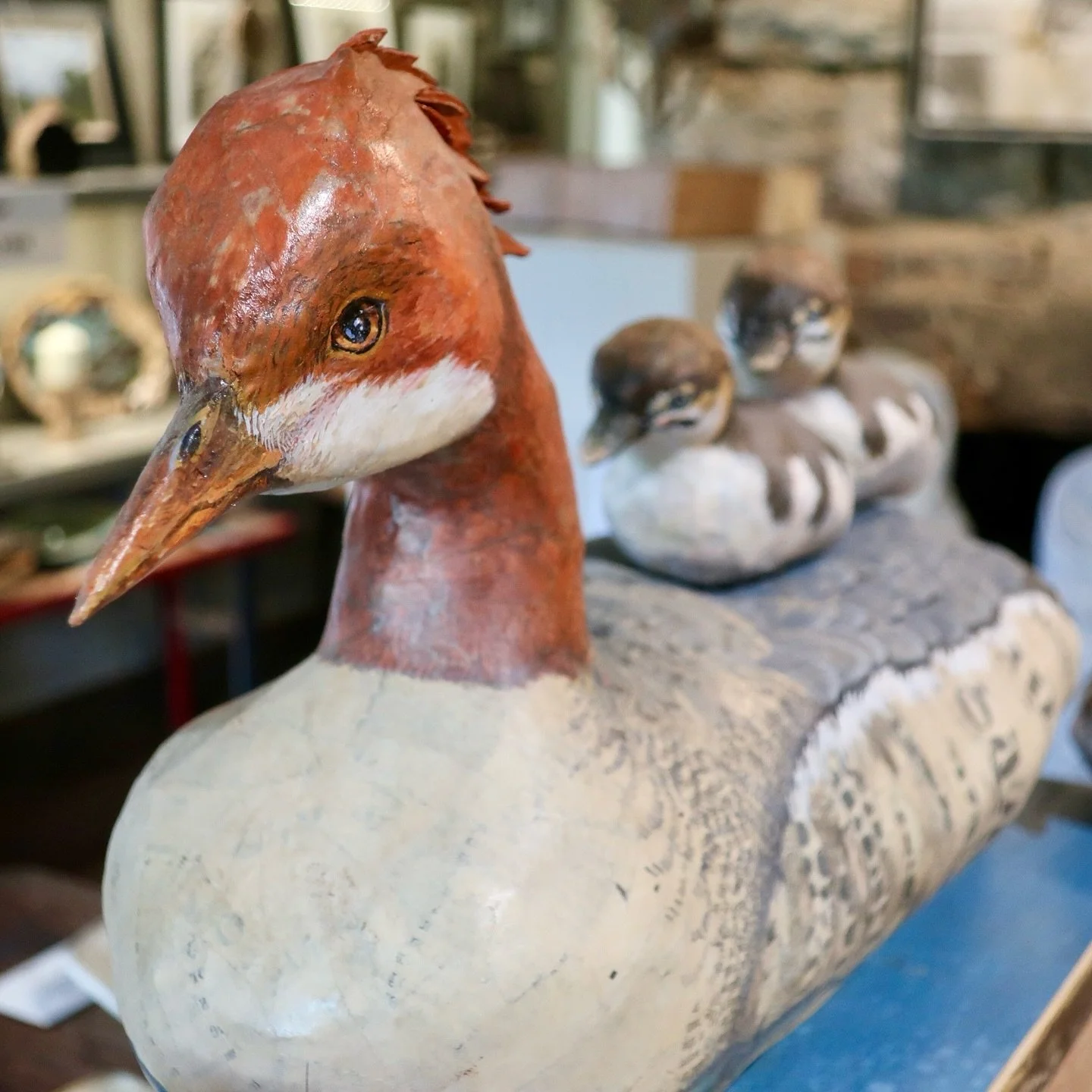 Valerie Dunning Edwards creates extraordinary paper sculptures by bending, cutting and layering up to 10 layers of wet and dry paper.  As she slowly and painstakingly shapes her subject, a sense of being and personality emerges in the sculpture.  She