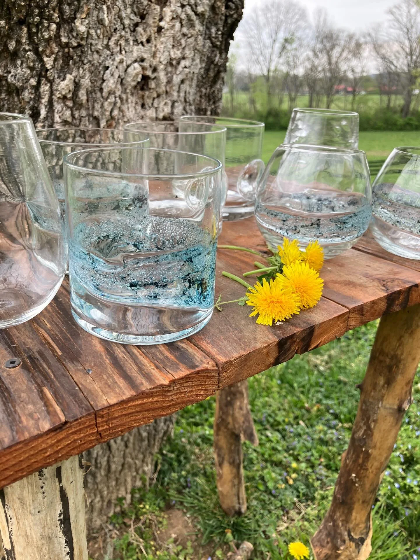 Handmade glassware by husband and wife team Sam and Blaine Spees.  Come to the Copper Fox Gallery to see more of their incredible blown glass. 
It&rsquo;s springtime, celebrate! 
#glassware
#handmadeglassware
#blownglass 
#thecopperfoxgallery 
#leipe