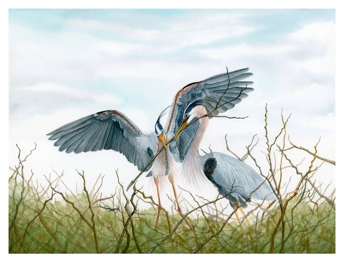 Deeply concerned about the ongoing loss of wildlife habitat and environmental change, Brett Blumenthal&rsquo;s paintings capture the beauty we all want preserved.  Her paintings reconnect people with the animals and wild places that are at the risk o