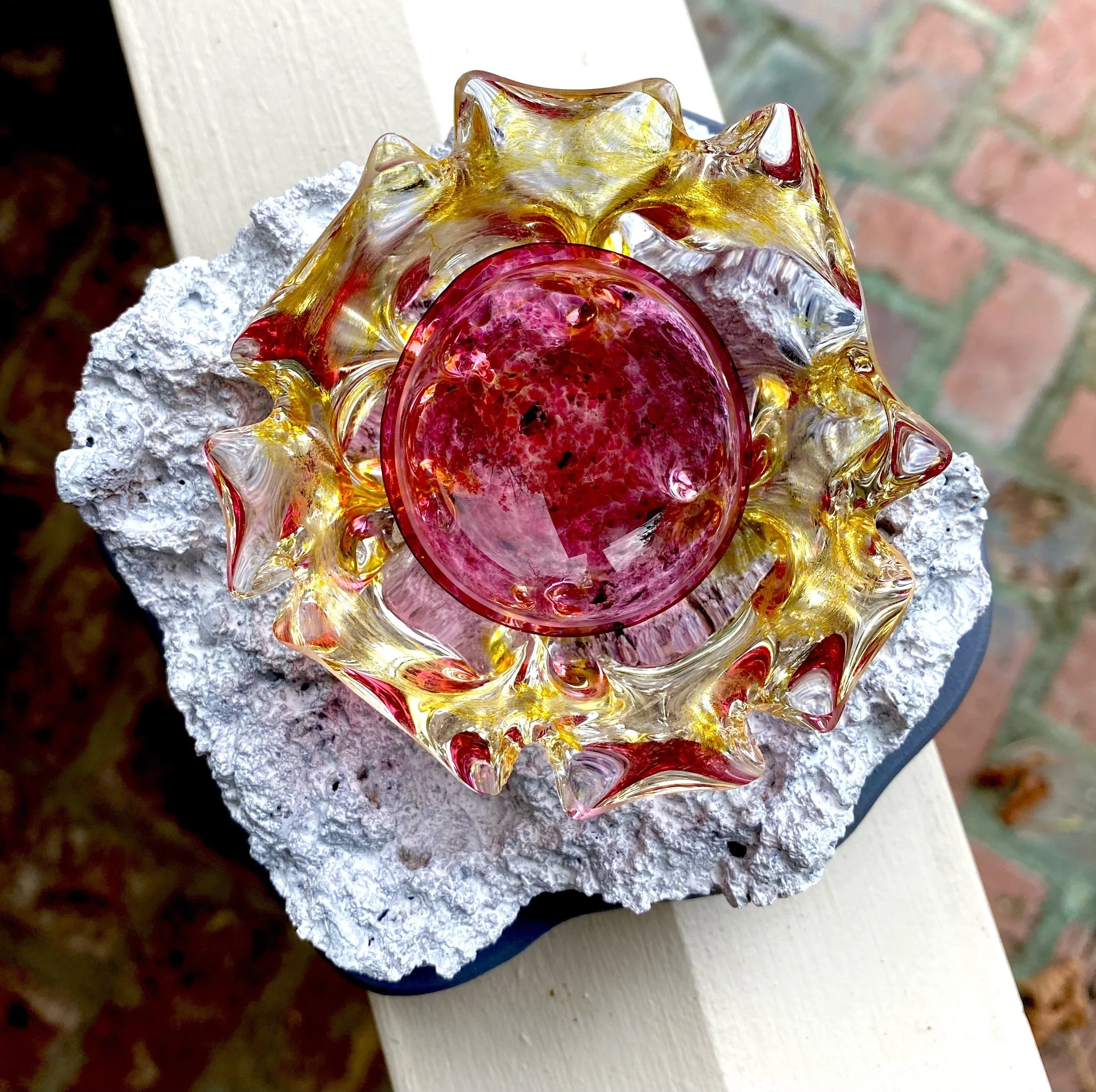 zinnia 2.jpg