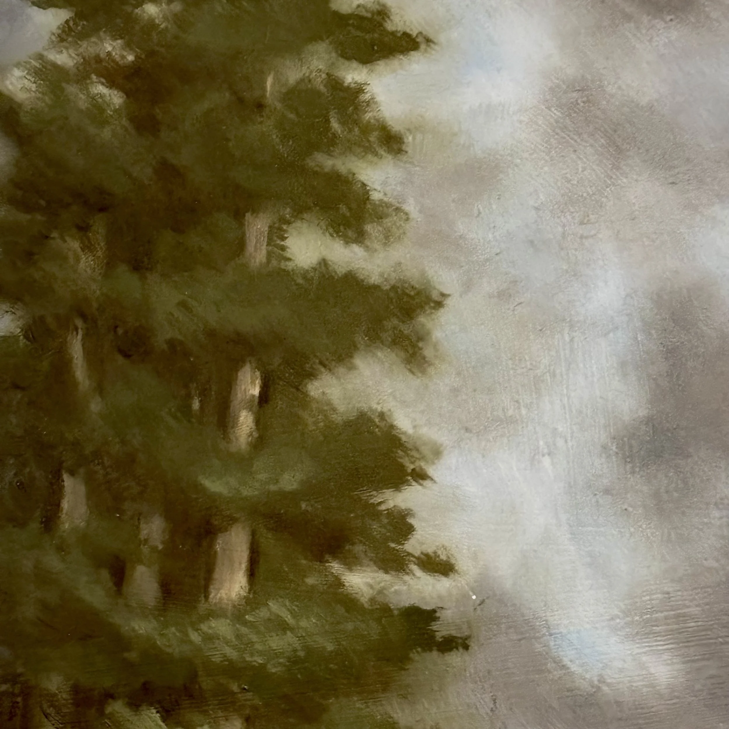 cypress 3.jpg