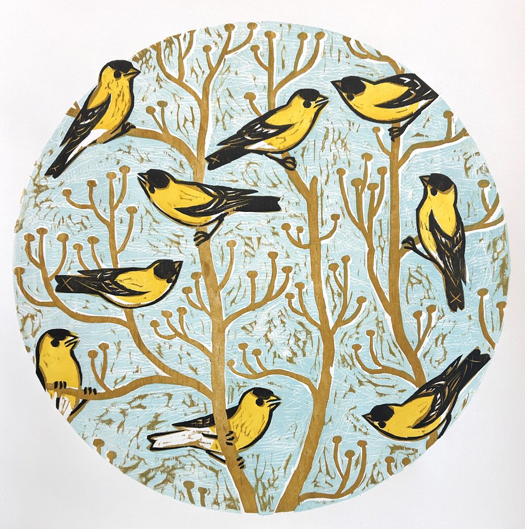 ring of goldfinch.jpg
