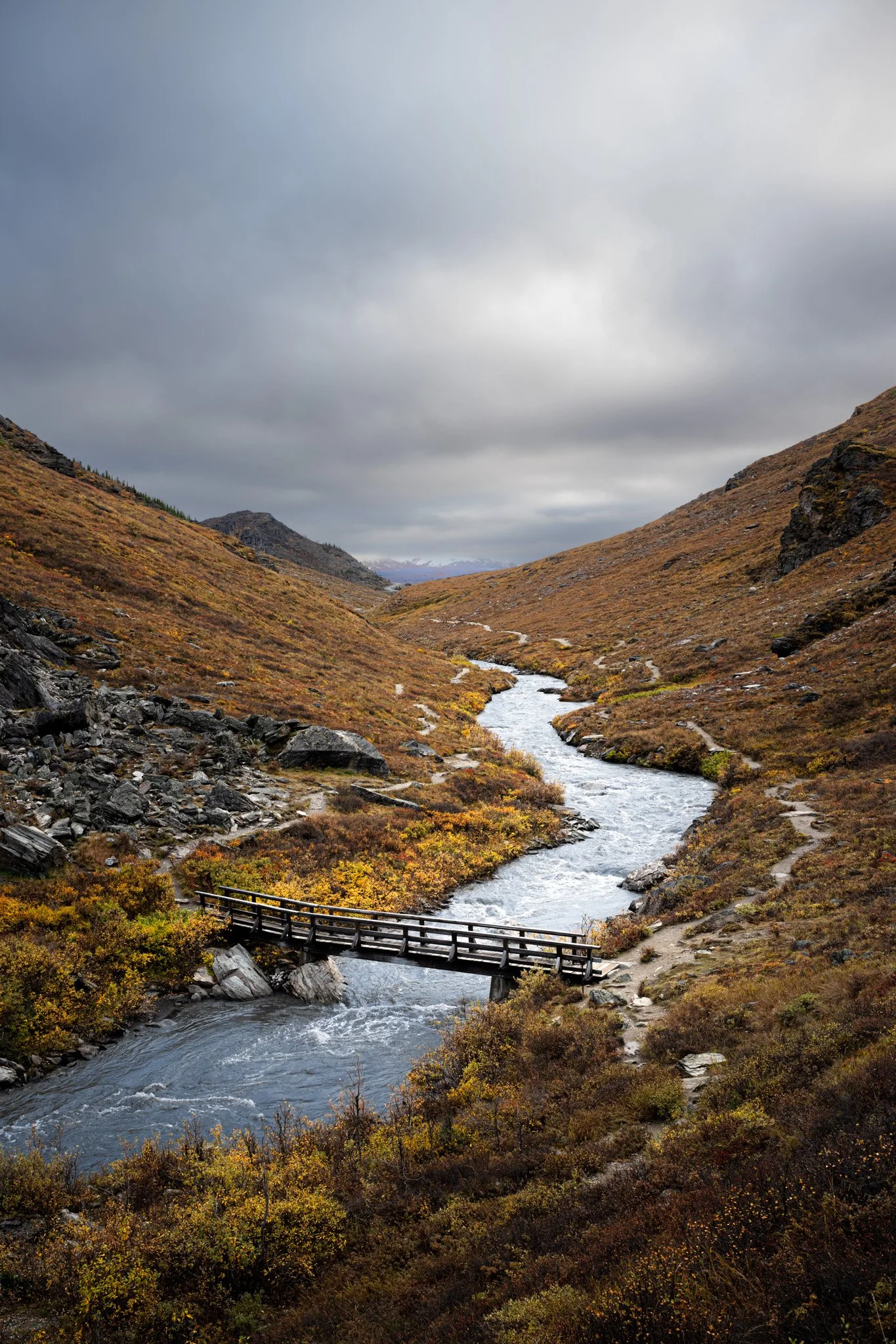 Savage Crossing by John Sadler