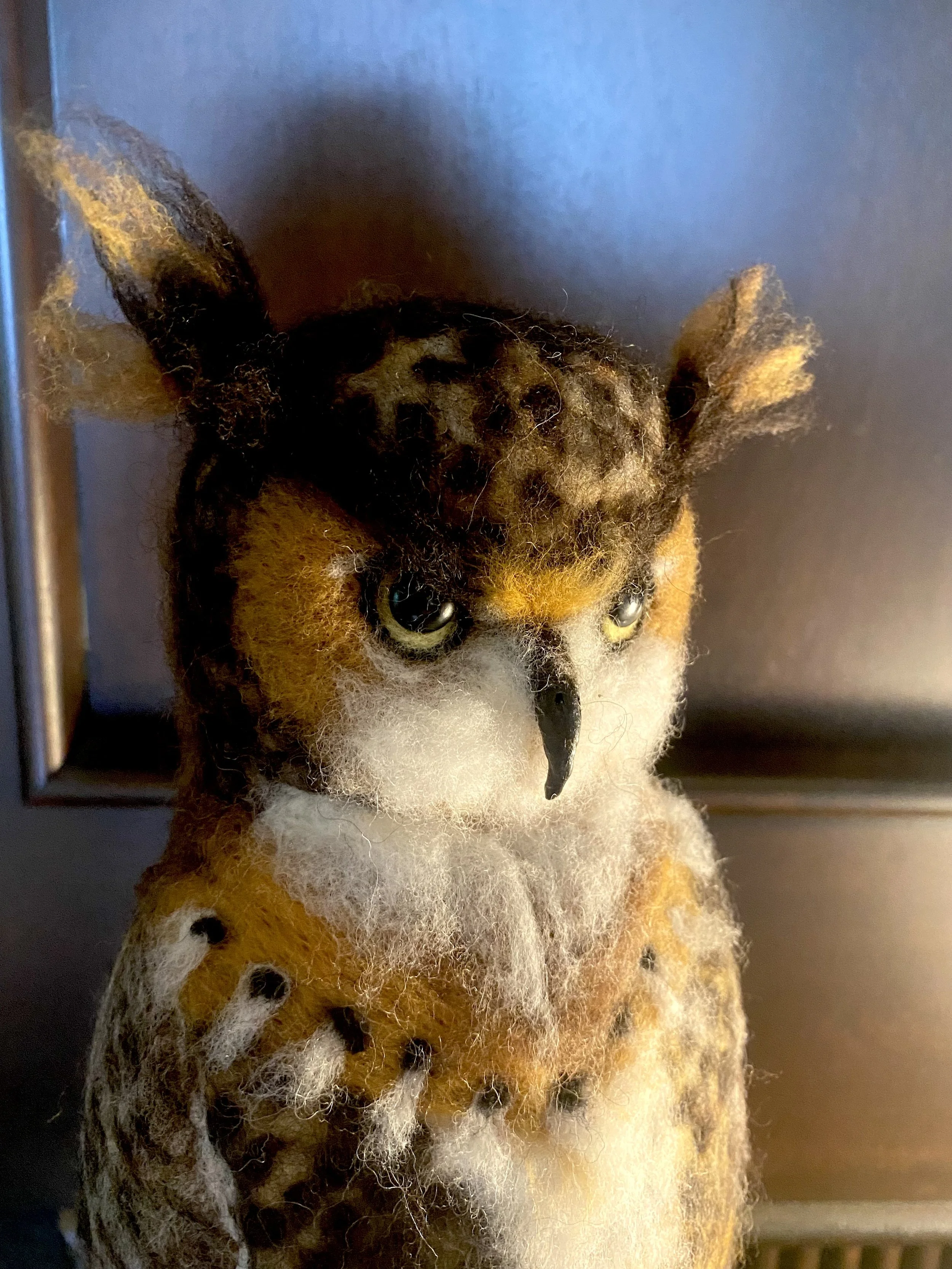IMG_8495.jpg