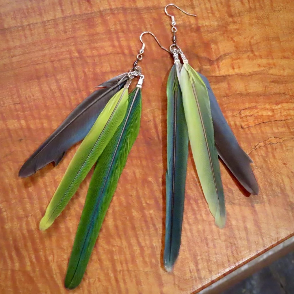 Parakeet Earrings