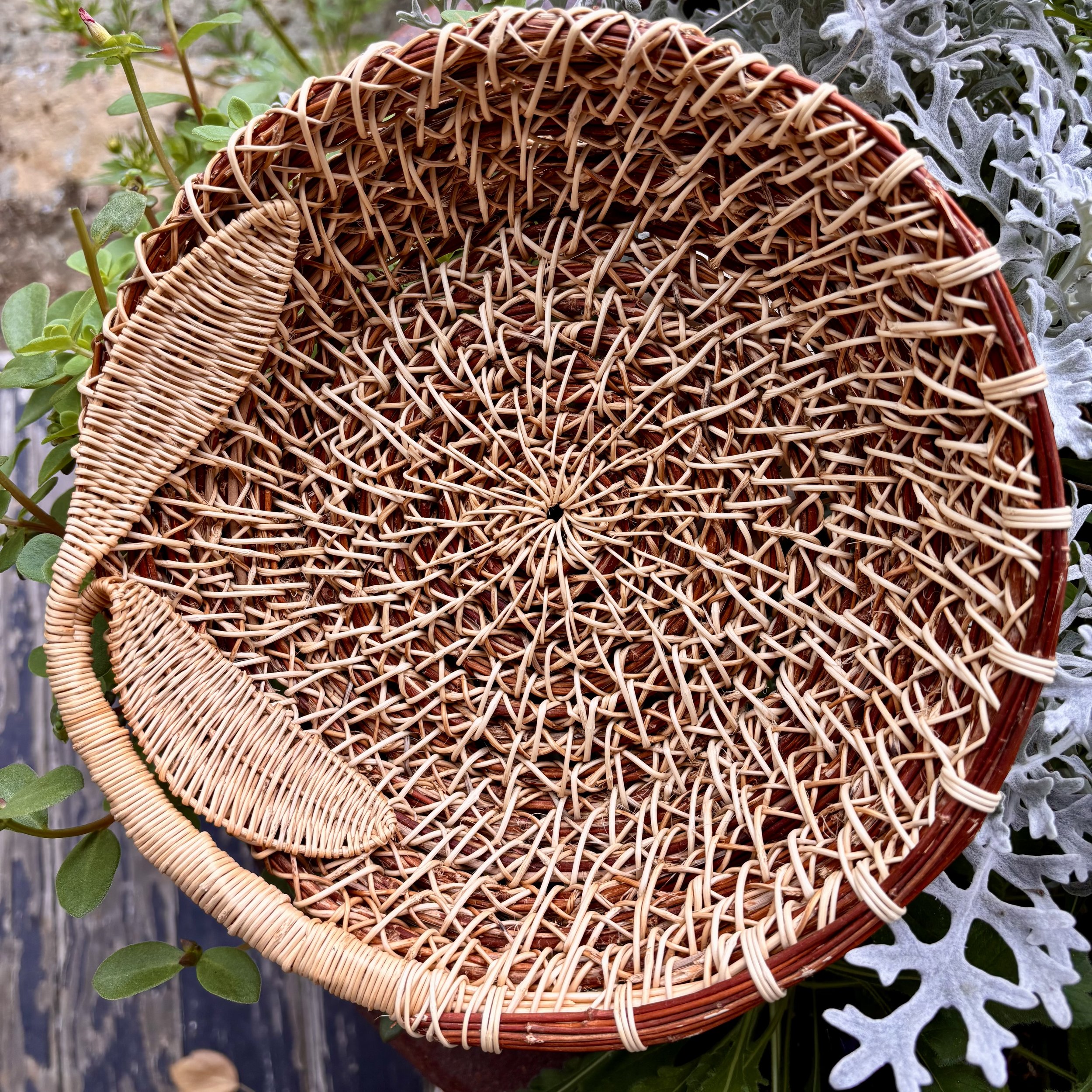 Low Leaf Basket  by Anne Scarpa McCauley