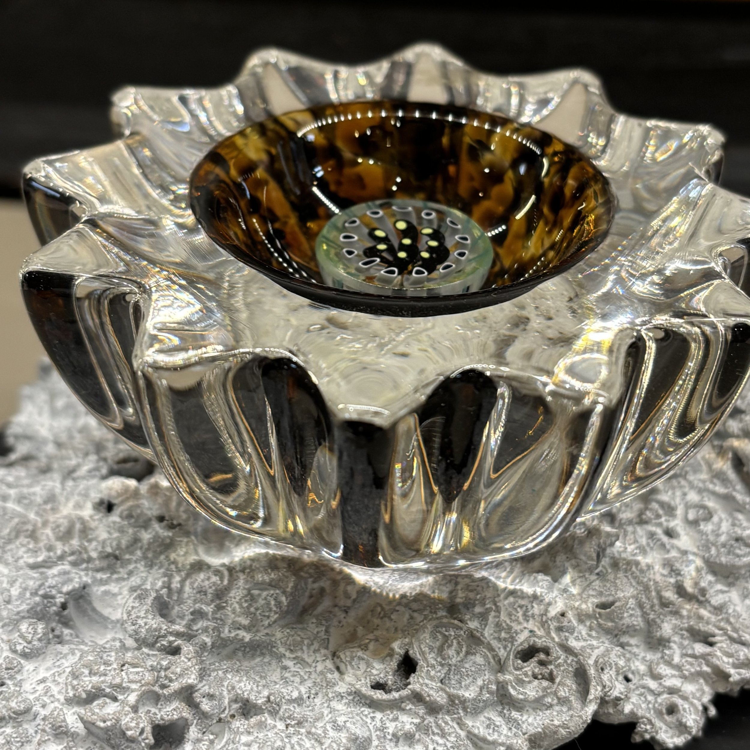 Tiger's Eye by Curtiss Brock