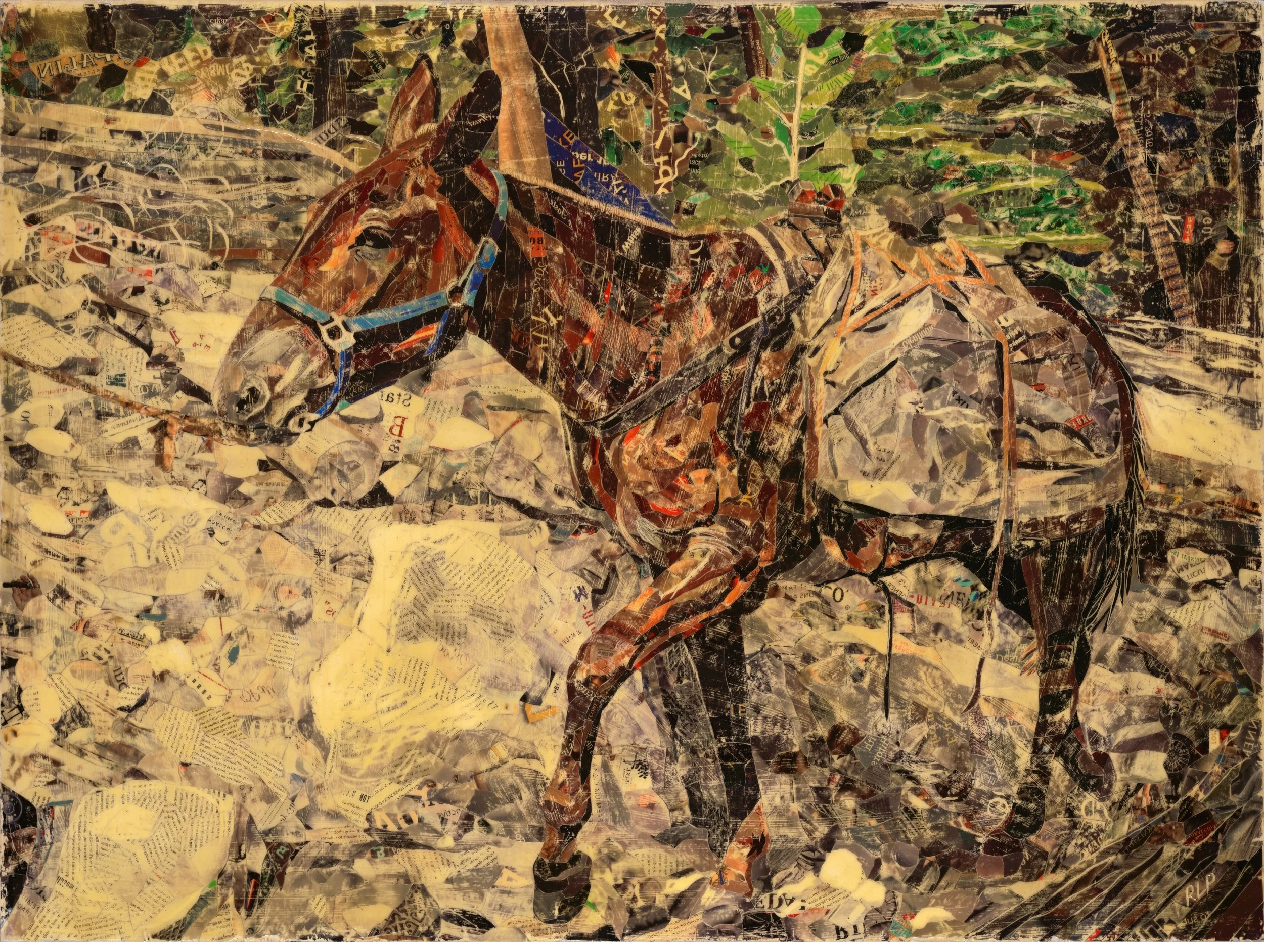 #2347_Mule_Final.jpg