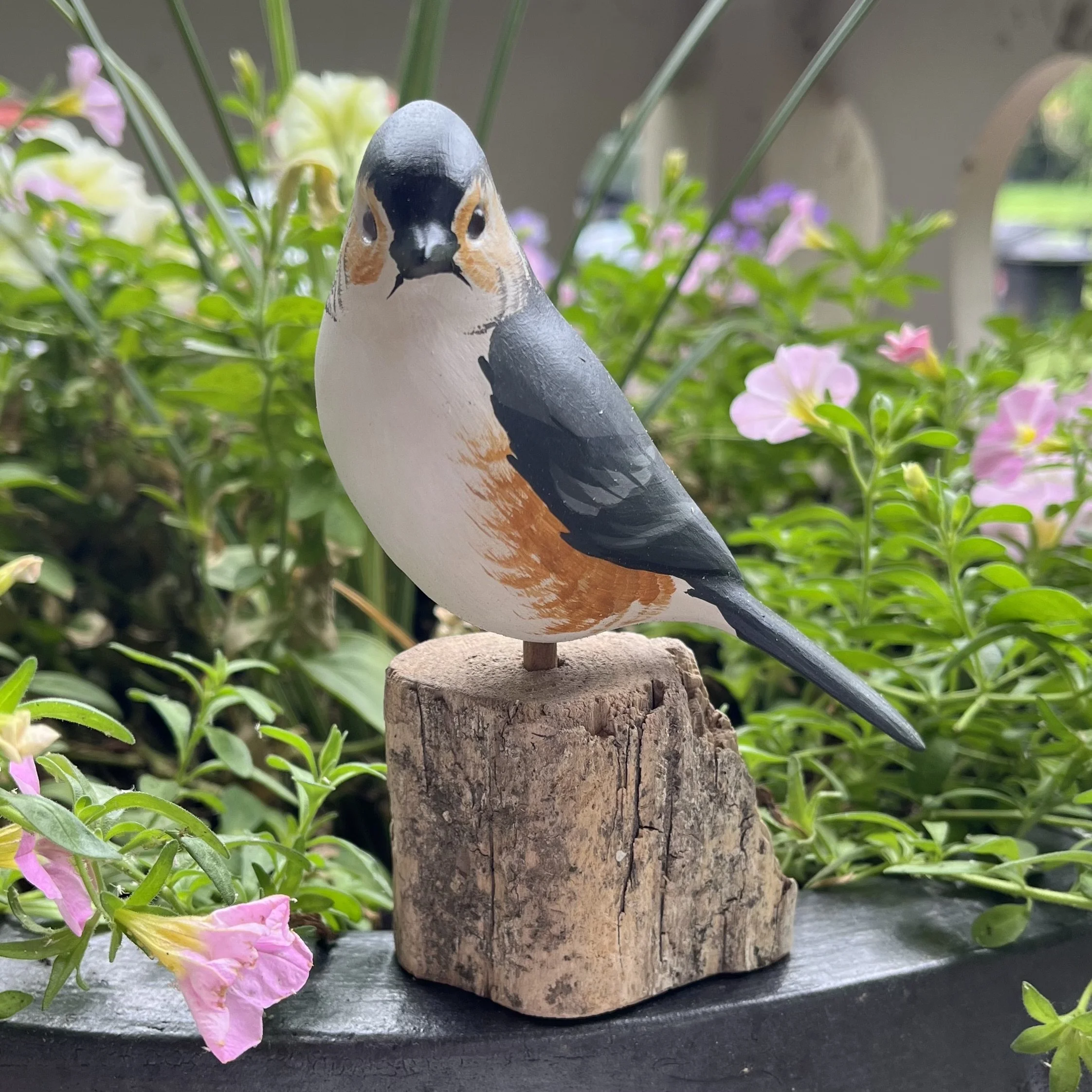 Tufted Titmouse by Josh Guge