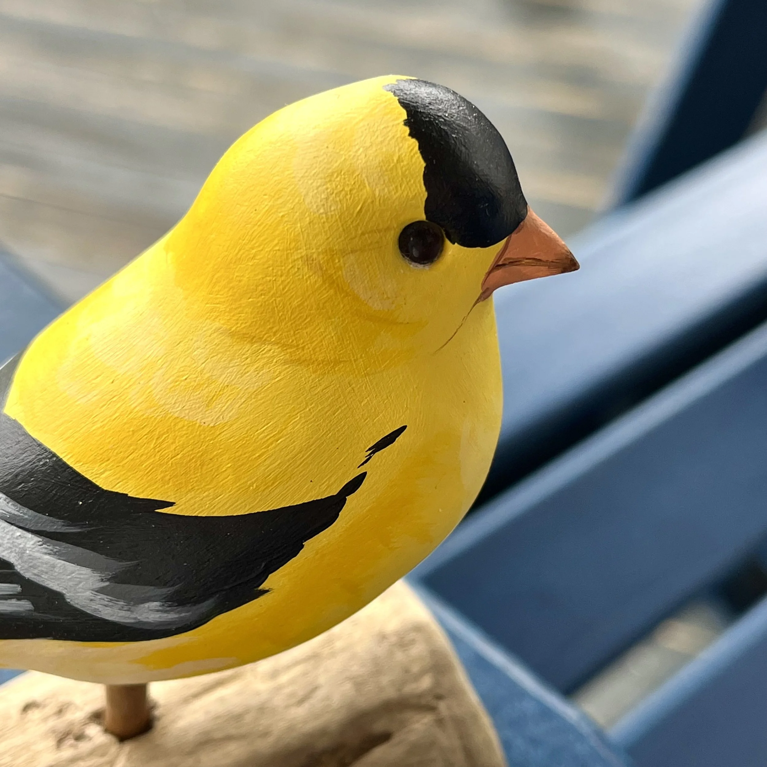 Goldfinch by Josh Guge