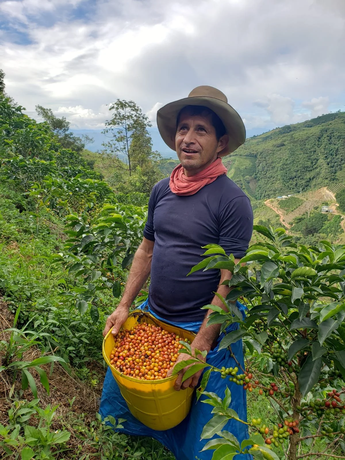 farmers from Huila.jpeg