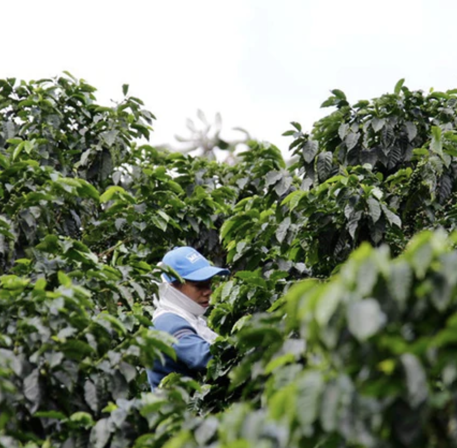 Screenshot 2026-02-12 at 12.04.48.png