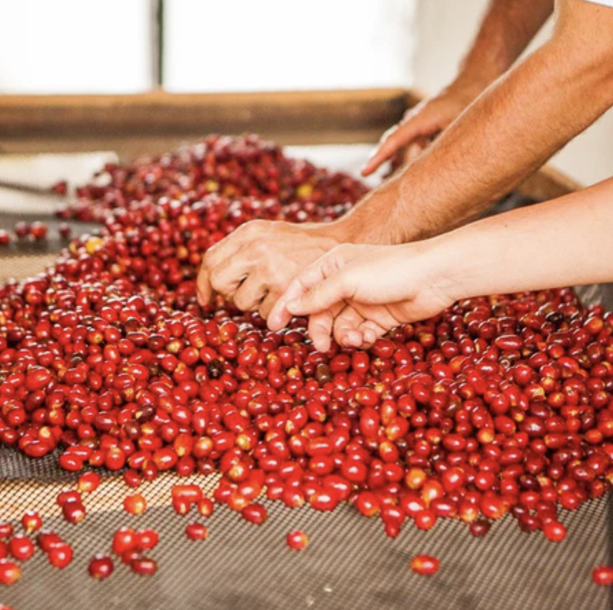 Screenshot 2026-02-12 at 12.04.39.png